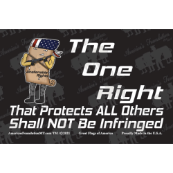 Shall NOT Be Infringed