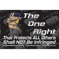 Shall NOT Be Infringed